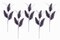 5 Pack of 30" Purple 3 Branch Picks with Glitter Enhancements